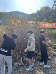 10.25 동계청소년올림픽 성공개최 기원 청소년과 함께 나무심기행사 참석 사진